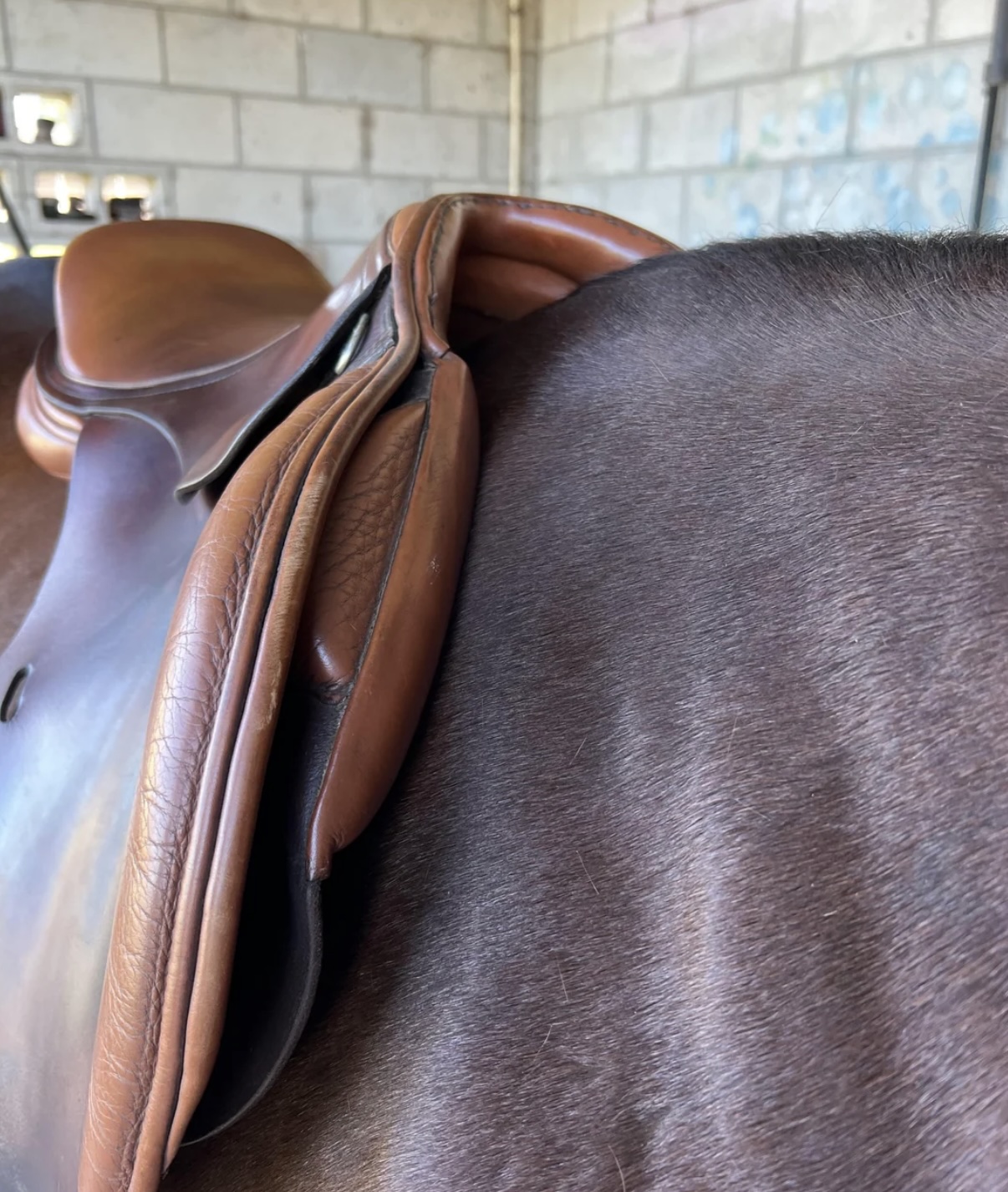 Selle De Cheval Militaire En Cuir Fin XIXe Début XXe Siècle - Armée De Terre Française, Authentique